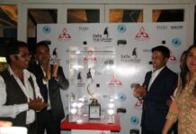 It’s time for India Hair and Beauty Award 2015 The Host (L-R) - Sam Ali, Sumit Arora, Ramneek, Radhika