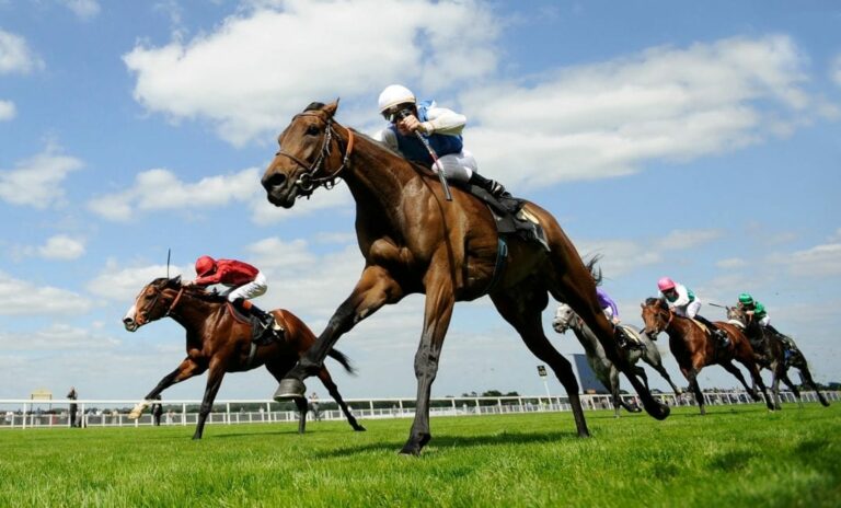 A beginner’s guide to horse racing