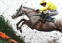 The three best horse racing festivals in the United Kingdom The three best horse racing festivals in the United Kingdom