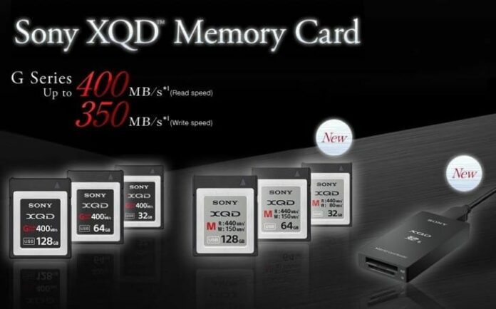 Sony XQD cards