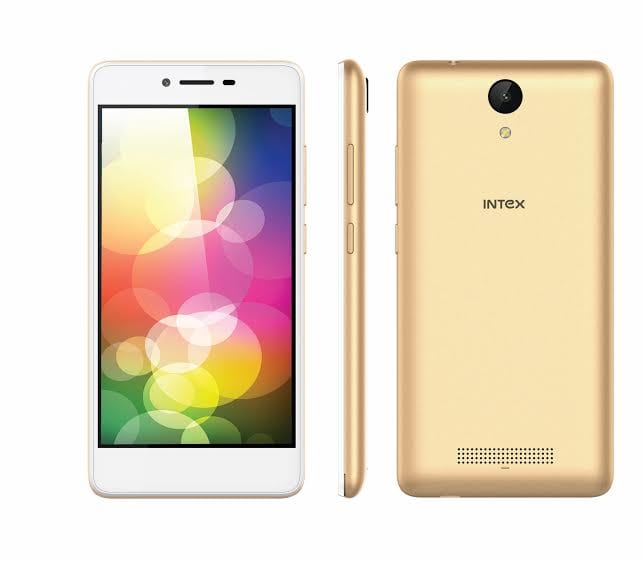 Intex1