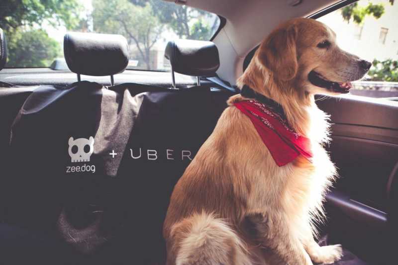 UberPet