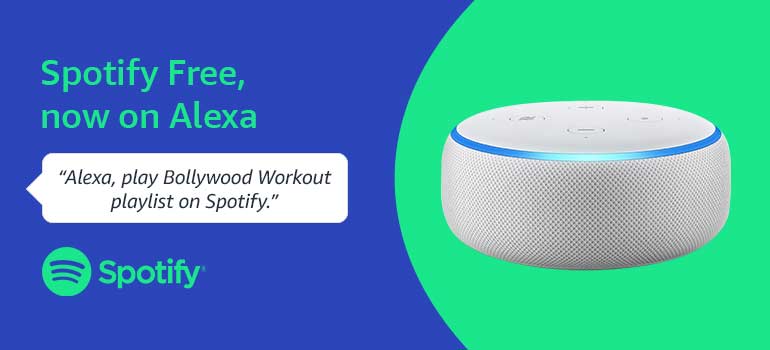 Echo dot shop spotify free